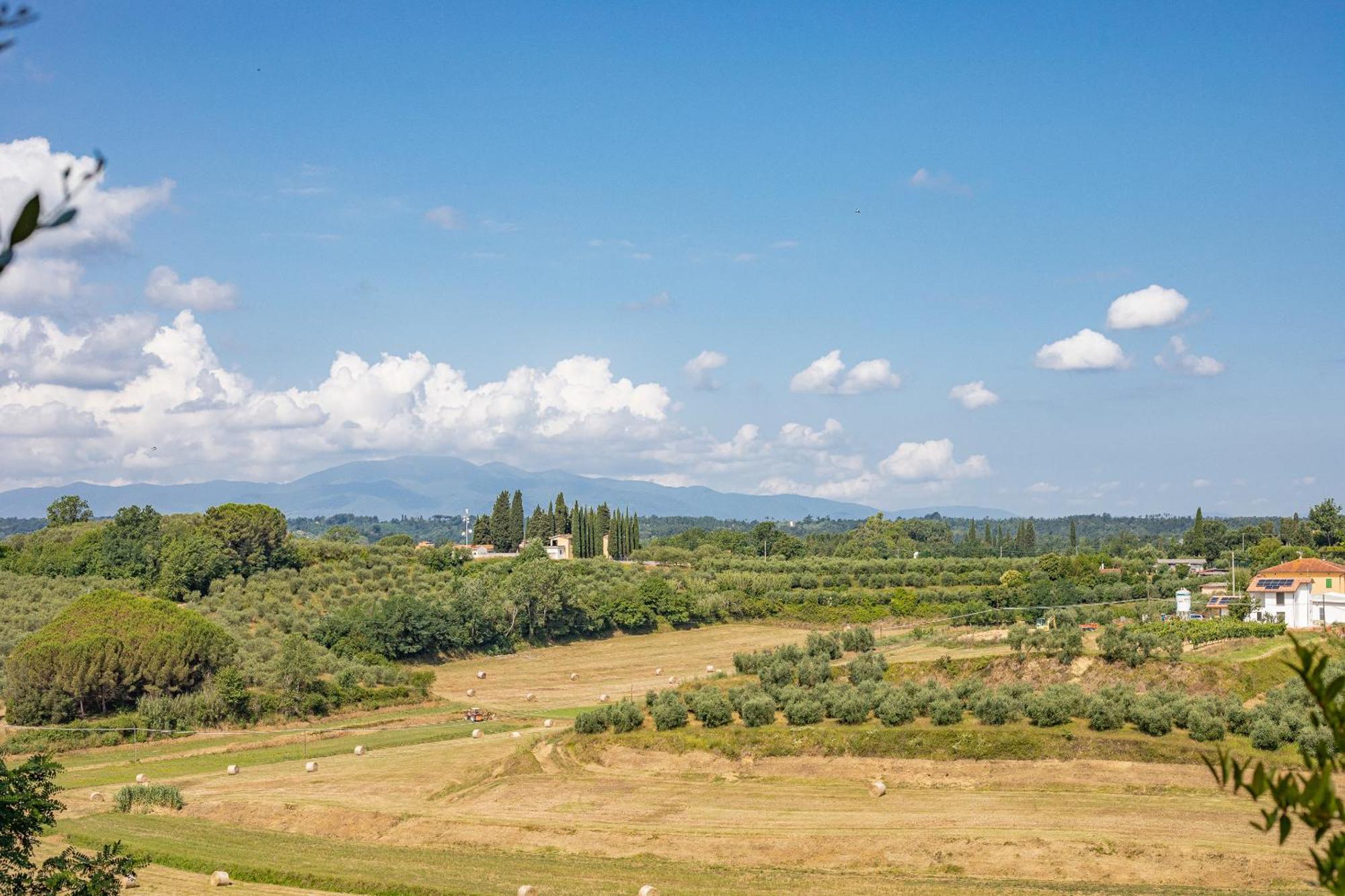 Fienile Cipresso, Art Of Living Tuscany Torre 外观 照片